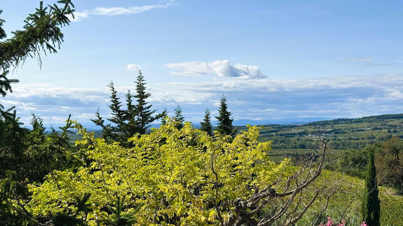 Maison de village - 125 m² - 7 pièces