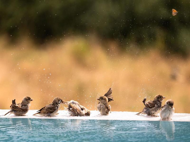 Terrain constructible - 760 m²