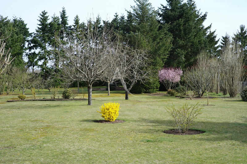 Maison - 260 m² - 9 pièces