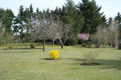 Maison - 260 m² - 9 pièces