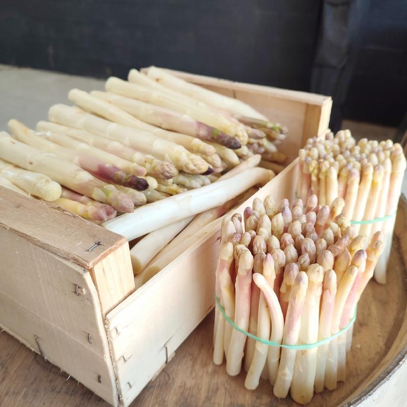 Savez-vous récolter les asperges ?
