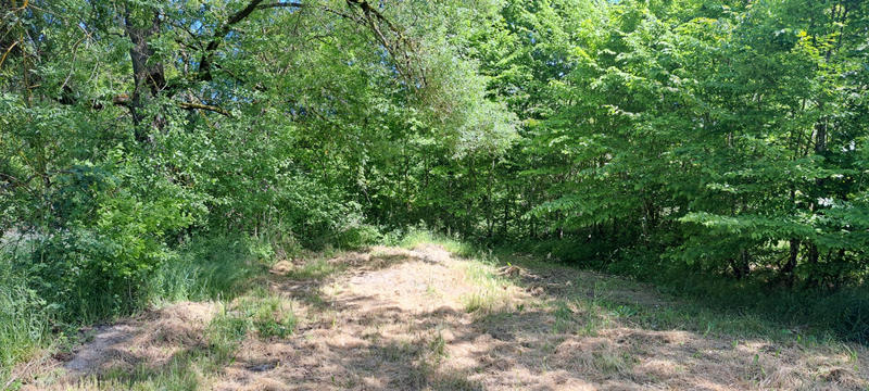 Terrain agricole - 6 045 m²