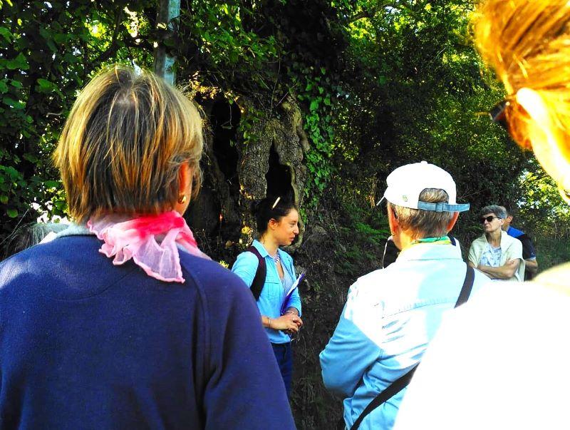 Le remembrement : histoire du bocage