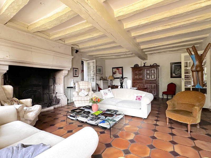 Château - 430 m² - 12 pièces