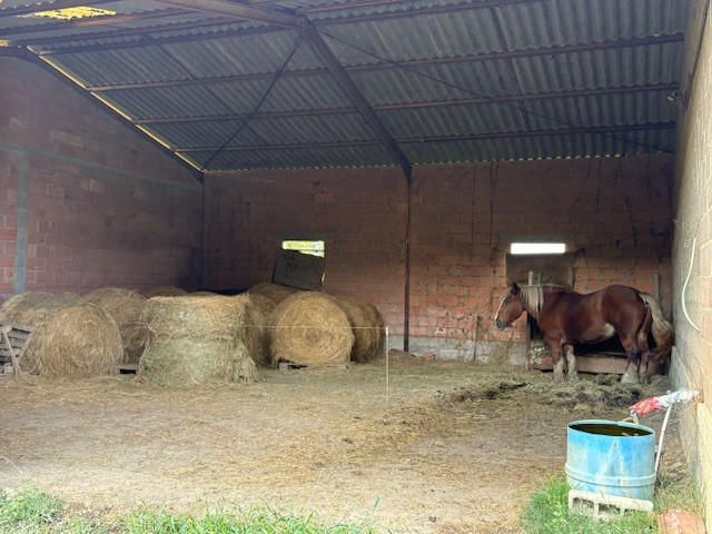 Propriété - 126 m² - 6 pièces