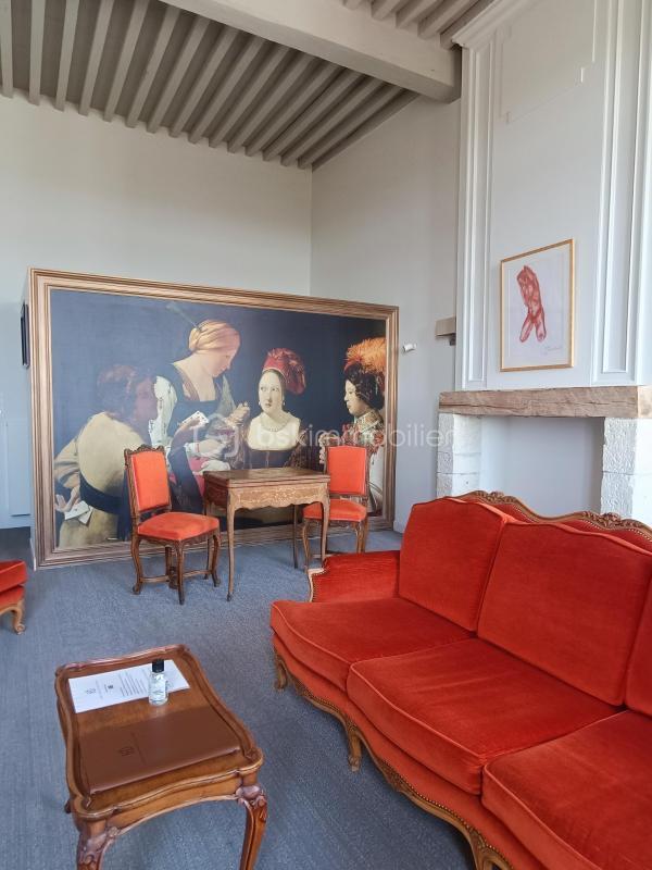 Hôtel particulier - 650 m² - 17 pièces