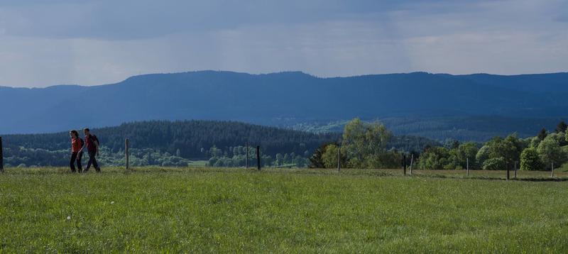 Sentiers Plaisir : le Champ du Feu, un joyau de la nature