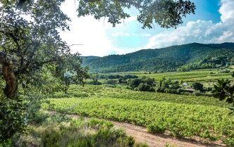 Maison - 301 m² - 1 pièce