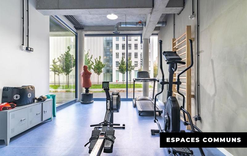 Studio - 17 m² - 1 pièce