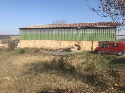 Hangar - 525 m² - 1 pièce