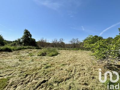 Maison de campagne - 110 m² - 5 pièces