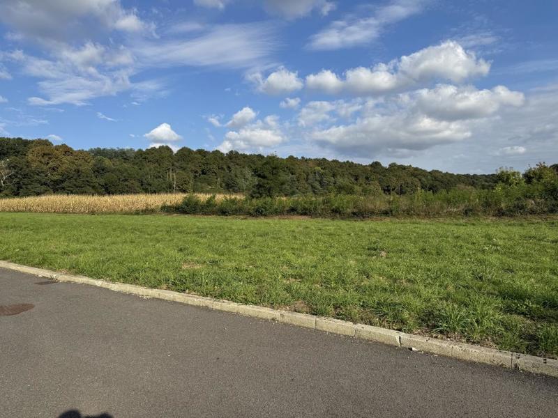 Terrain constructible - 1 454 m²