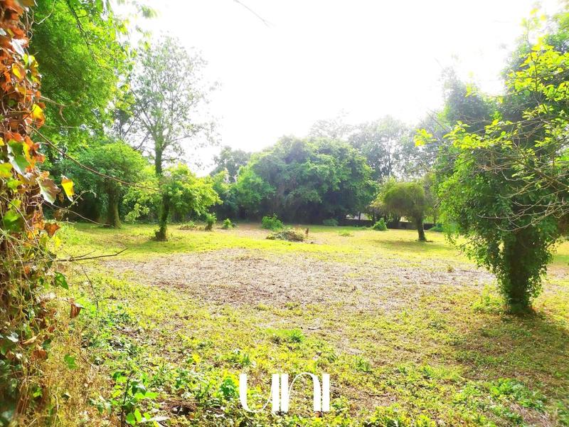 Maison de maîtres - 255 m² - 8 pièces