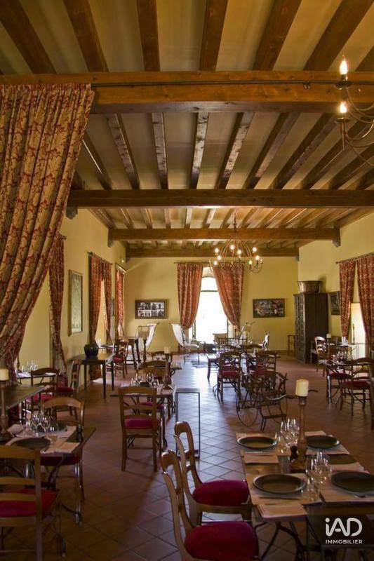 Château - 700 m² - 21 pièces