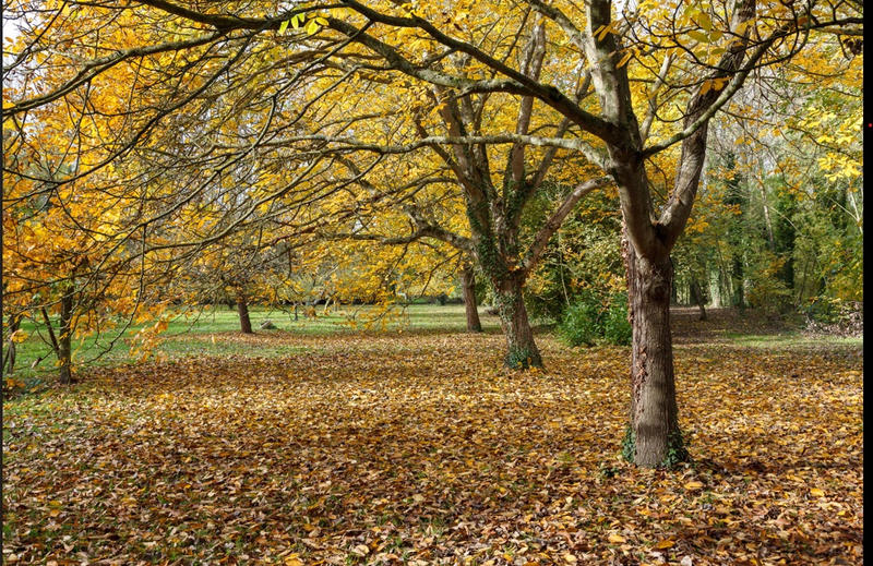 Maison - 284 m² - 12 pièces