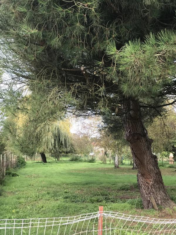 Terrain constructible - 1 197 m²