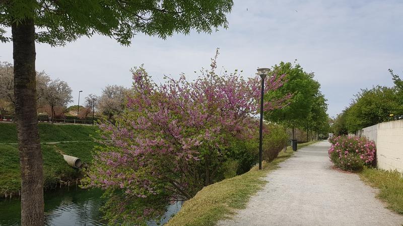 Villa - 101 m² - 6 pièces