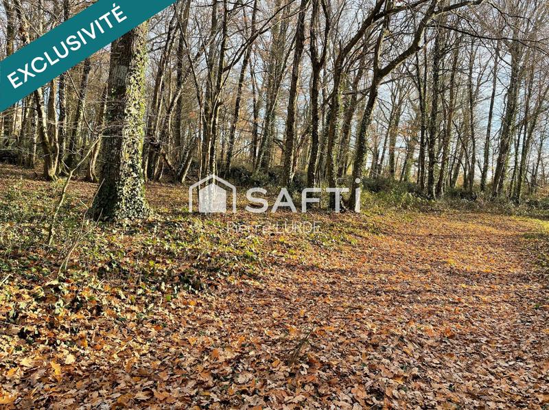 Terrain agricole - 125 000 m²