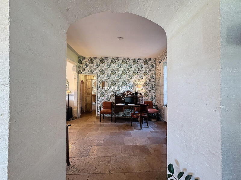 Mas - 400 m² - 12 pièces