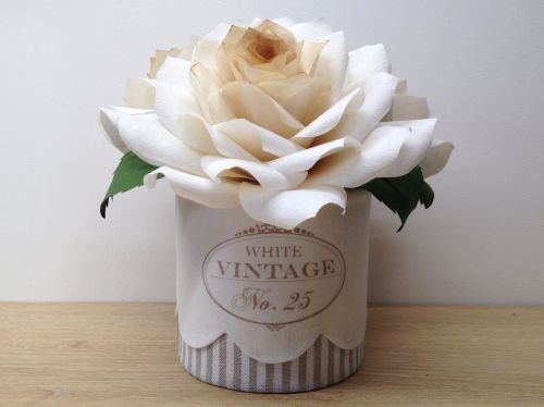 Les folies de Cécile