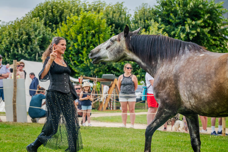 Fête médiévale de Lusignan