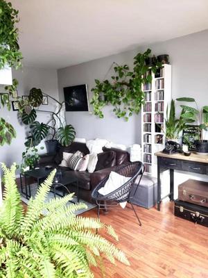 Appartement - 72 m² - 4 pièces