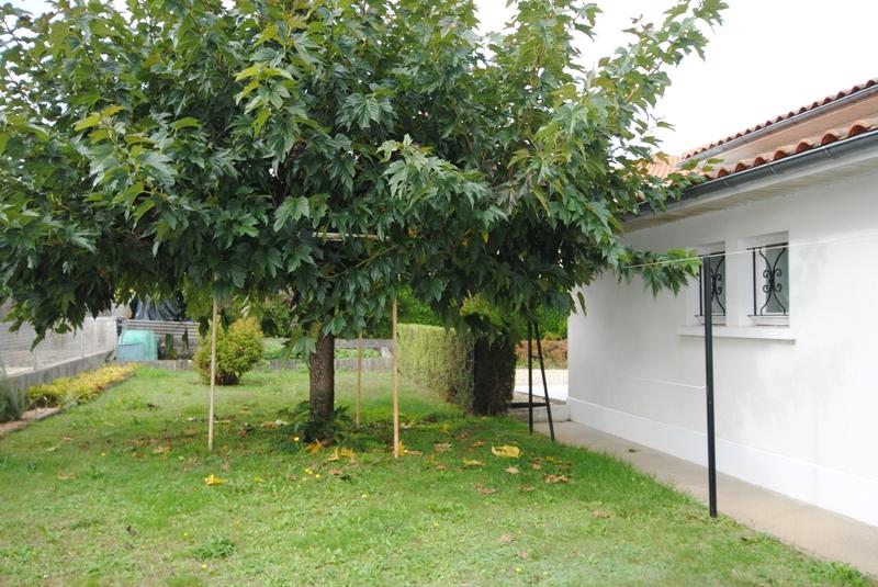 Maison - 88 m² - 3 pièces