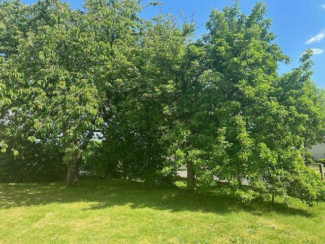 Pavillon - 92 m² - 6 pièces