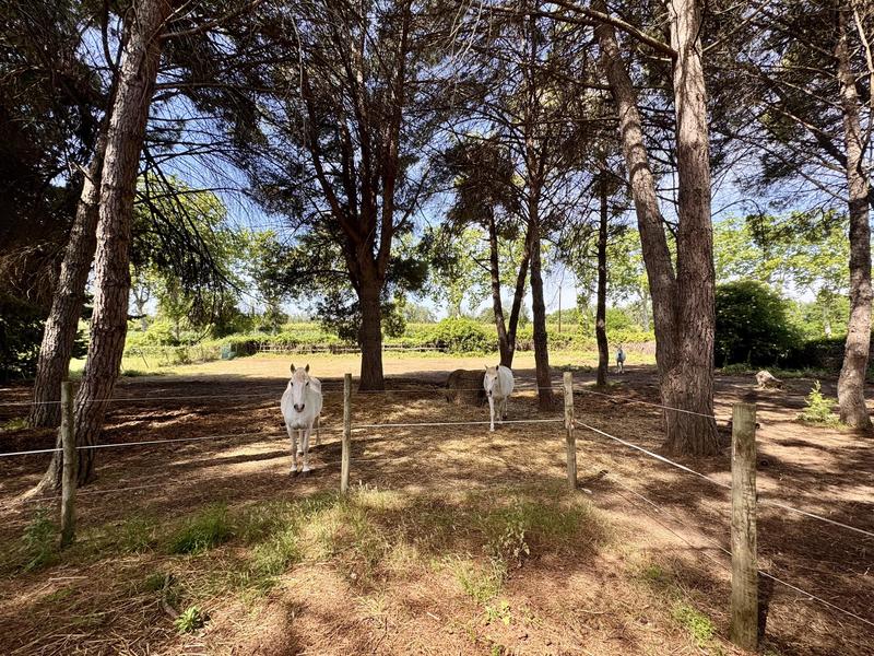 Villa - 294 m² - 7 pièces