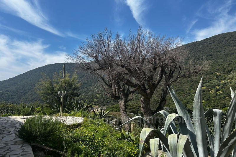 Mazet - 88 m² - 4 pièces