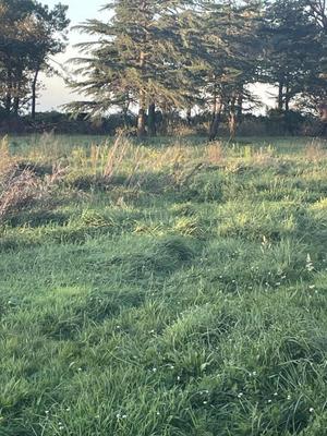 Terrain constructible - 738 m²