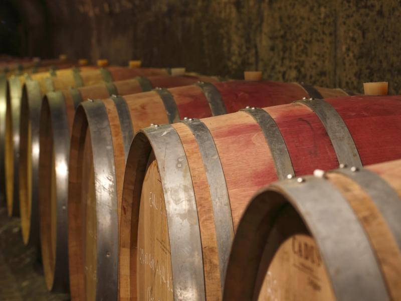 Portes Ouvertes du Domaine Olivier