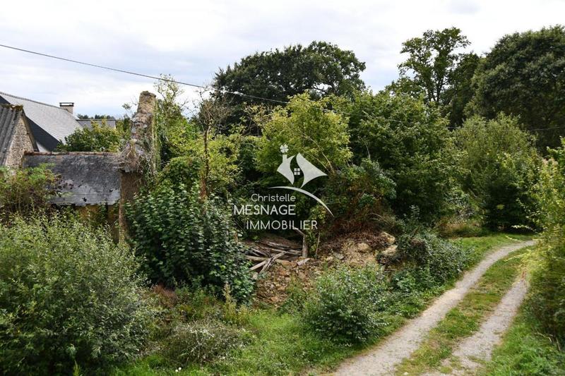 Maison en pierre - 110 m² - 5 pièces