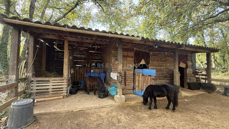 Maison de domaine équestre - 180 m² - 7 pièces