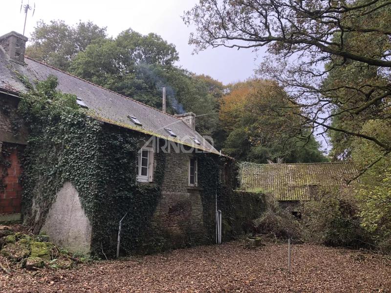 Moulin - 250 m² - 5 pièces