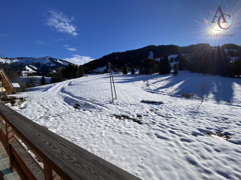 Châlet - 400 m² - 8 pièces