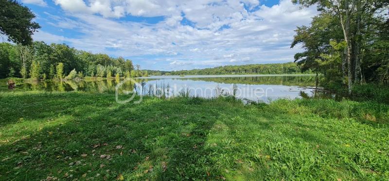 Terrain - 240 000 m²