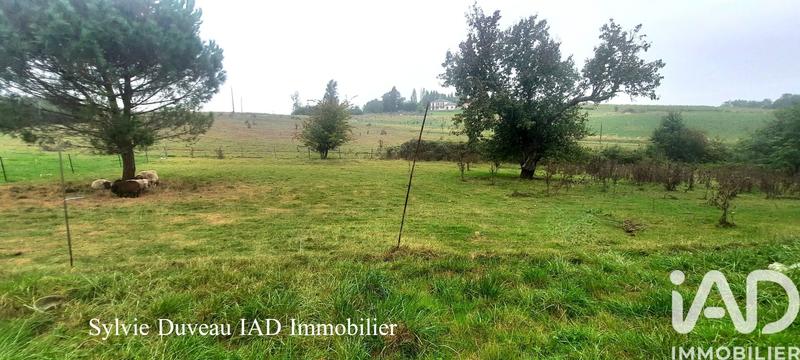 Maison - 131 m² - 4 pièces