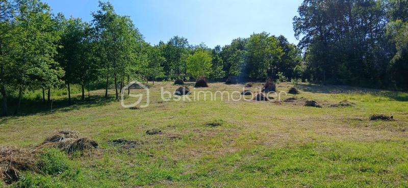 Terrain - 4 304 m²