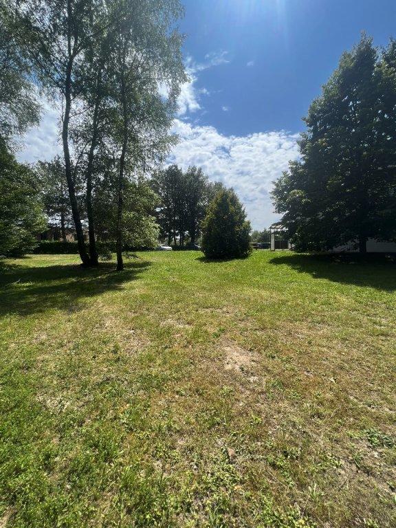 Local d'activité / Entrepôt - 1 200 m²