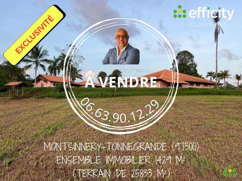 Immeuble - 1 429 m²