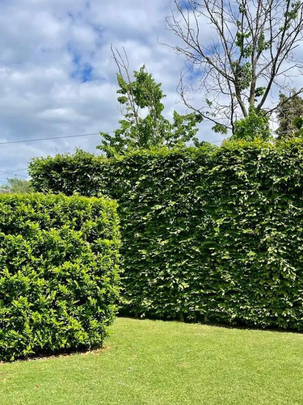 Propriété - 435 m² - 10 pièces