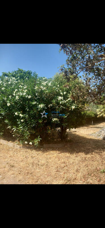 Maison - 137 m² - 6 pièces