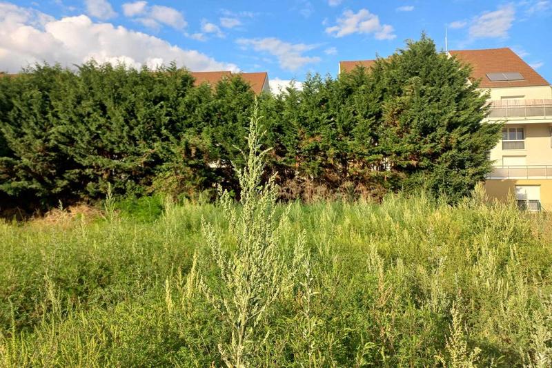 Terrain constructible - 442 m²