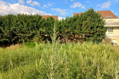 Terrain constructible - 442 m²