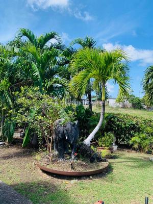 Propriété - 303 m² - 13 pièces