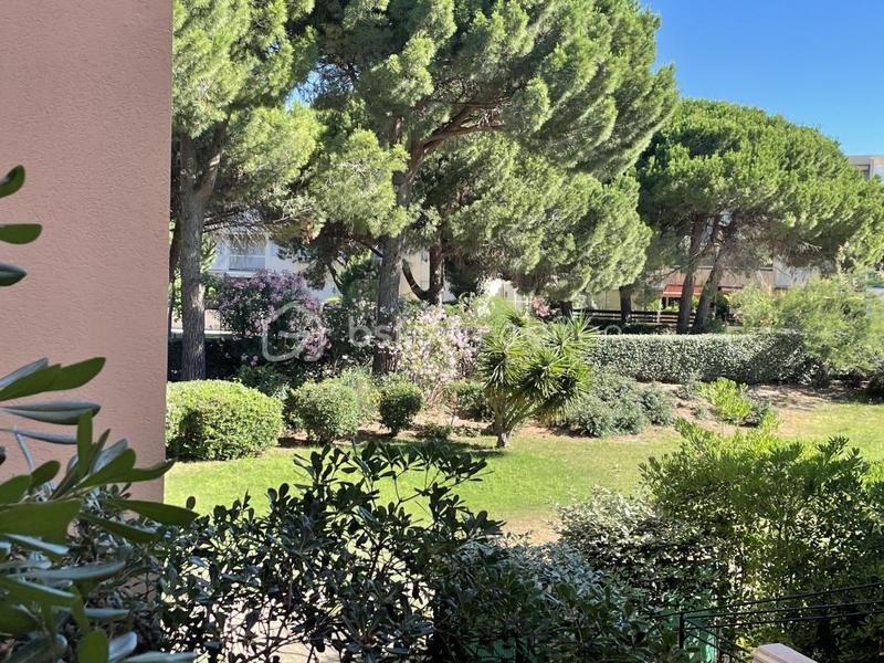 Studio - 23 m² - 1 pièce