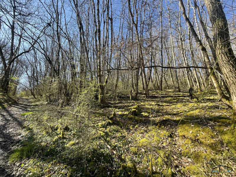 Terrain de loisirs - 3 498 m²