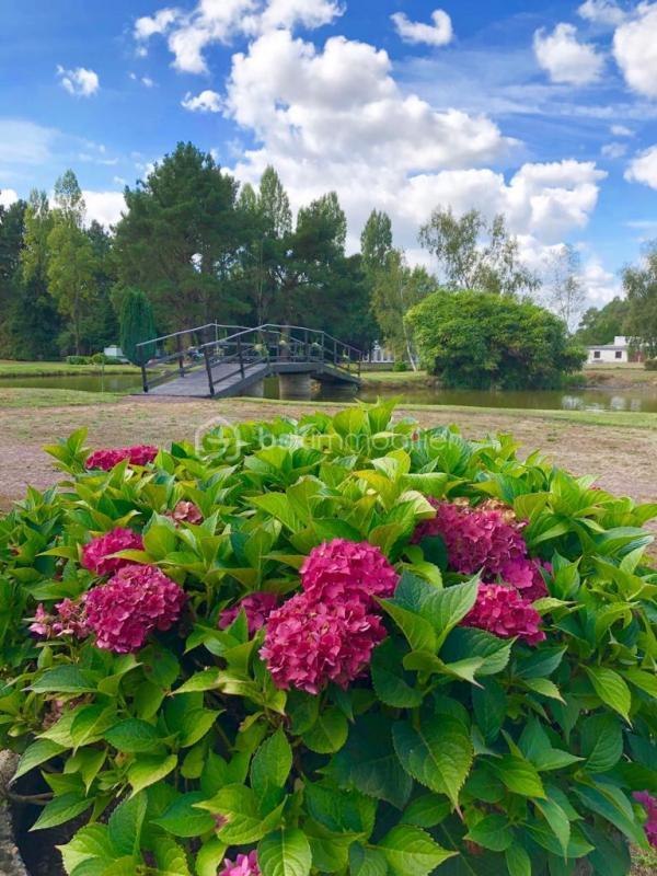 Maison - 380 m² - 4 pièces