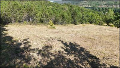 Terrain - 2 700 m²